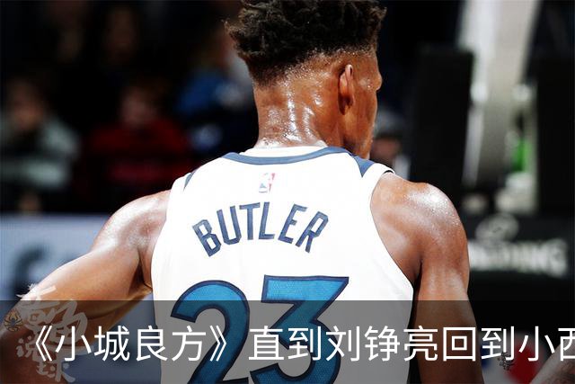 《小城良方》直到刘铮亮回到小西门,才明白龙冬冬有多厉害