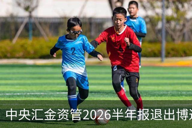 中央汇金资管2026半年报退出博迁新材前十大股东名单