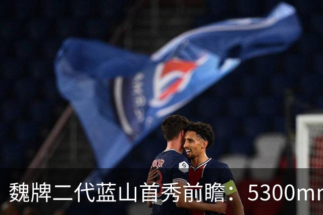 魏牌二代蓝山首秀前瞻：5300mm的方盒子、装了一套2.0T四挡混动